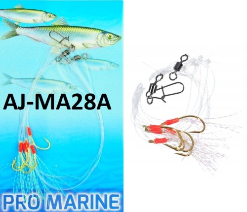 MA28AM.jpg