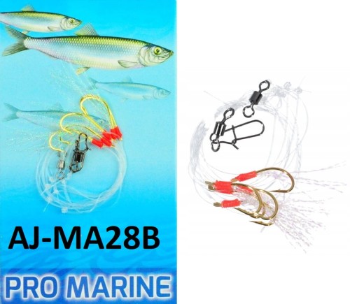 MA28BM.jpg