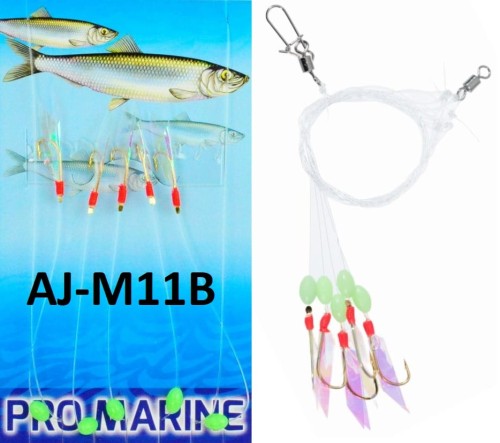 M11B55.jpg