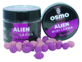 alien-removebg-preview.png