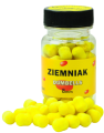 ziemniak-removebg-preview.png