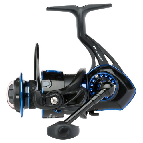 100.jpg