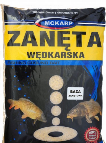 BAZA ZANĘTOWA.jpg