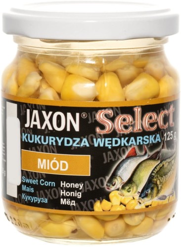 FJ-SK02.jpeg